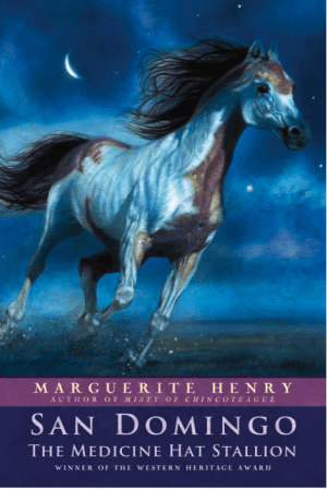 San Domingo: The Medicine Hat Stallion