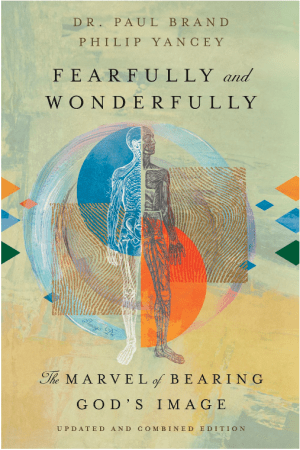 Fearfully and Wonderfully: The Marvel of Bearing God's Image
